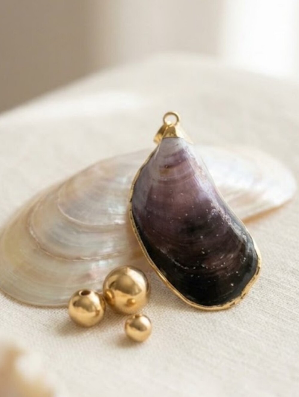 Seashell Pendant with Gold Edging. No Chain